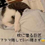 ヒメ日記 2026/03/26 18:14 投稿 水野 はづき マーベリック横浜