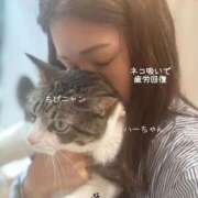 ヒメ日記 2026/03/31 12:34 投稿 水野 はづき マーベリック横浜