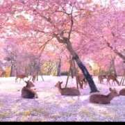 ヒメ日記 2026/04/06 18:04 投稿 水野 はづき マーベリック横浜