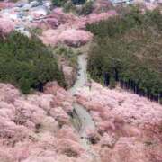 ヒメ日記 2026/04/08 18:14 投稿 水野 はづき マーベリック横浜