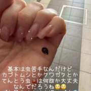 ヒメ日記 2026/04/26 18:04 投稿 水野 はづき マーベリック横浜