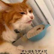 ヒメ日記 2026/05/29 13:54 投稿 水野 はづき マーベリック横浜