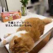 ヒメ日記 2026/06/26 15:44 投稿 水野 はづき マーベリック横浜