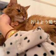 ヒメ日記 2026/06/29 11:51 投稿 水野 はづき マーベリック横浜