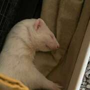 ヒメ日記 2025/07/17 20:35 投稿 ひかり One More 奥様　西川口店