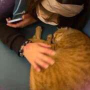 ヒメ日記 2025/09/11 22:10 投稿 ひかり One More 奥様　西川口店