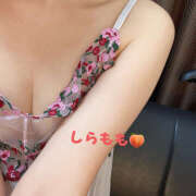 ヒメ日記 2025/09/24 10:29 投稿 白桃ひらり ワイフコレクション