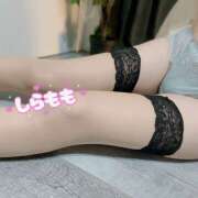 白桃ひらり 白桃です🍑 ワイフコレクション