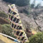 ヒメ日記 2025/04/08 15:05 投稿 るり（奥様） 姫マーケット