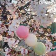 ヒメ日記 2025/04/12 22:55 投稿 るり（奥様） 姫マーケット