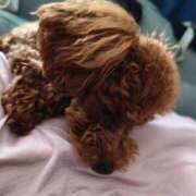 ヒメ日記 2025/07/15 20:25 投稿 ゆうり【癒やし系プロフェッショナル美女】 Beppin house