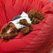 ヒメ日記 2025/10/17 14:25 投稿 ゆうり【癒やし系プロフェッショナル美女】 Beppin house