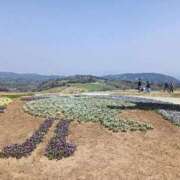 ヒメ日記 2025/11/29 11:20 投稿 ゆうり【癒やし系プロフェッショナル美女】 Beppin house