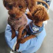 ヒメ日記 2026/02/23 18:34 投稿 ゆうり【癒やし系プロフェッショナル美女】 Beppin house