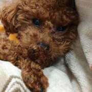 ヒメ日記 2026/03/15 14:00 投稿 ゆうり【癒やし系プロフェッショナル美女】 Beppin house