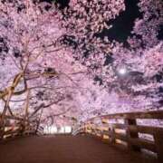 ヒメ日記 2026/03/30 14:00 投稿 ゆうり【癒やし系プロフェッショナル美女】 Beppin house