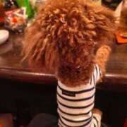 ヒメ日記 2026/05/11 10:30 投稿 ゆうり【癒やし系プロフェッショナル美女】 Beppin house