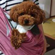 ヒメ日記 2026/05/14 21:50 投稿 ゆうり【癒やし系プロフェッショナル美女】 Beppin house