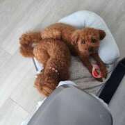 ヒメ日記 2026/09/01 21:20 投稿 ゆうり【癒やし系プロフェッショナル美女】 Beppin house