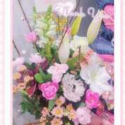 ヒメ日記 2025/03/16 09:54 投稿 特プレミアすず【国宝級の美少女】 LIPS(リップス)