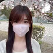 ヒメ日記 2025/04/12 09:34 投稿 特プレミアしおん【驚愕の美貌♡】 LIPS(リップス)