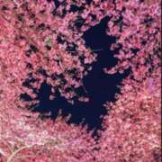 ヒメ日記 2025/02/27 13:03 投稿 しき 即アポマダム～名古屋店～