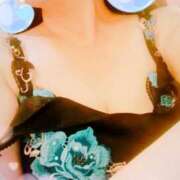 ヒメ日記 2025/04/01 11:46 投稿 しき 即アポマダム～名古屋店～