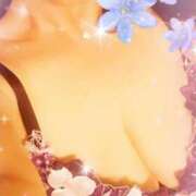 ヒメ日記 2025/02/13 15:31 投稿 しき 即アポ奥さん〜名古屋店〜