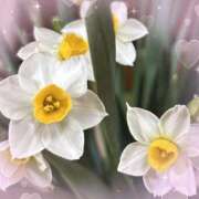 ヒメ日記 2025/02/27 21:57 投稿 しき 即アポ奥さん〜名古屋店〜