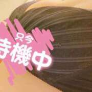 ヒメ日記 2023/12/18 17:27 投稿 きうい 新潟サンキュー