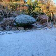 ヒメ日記 2026/01/21 09:48 投稿 葉山 えり HANA-okinawa-