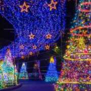 ヒメ日記 2024/12/22 20:36 投稿 ひより 熟女の風俗最終章 新宿店