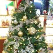 ヒメ日記 2025/12/25 14:25 投稿 ひより 熟女の風俗最終章 新宿店