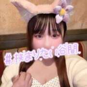 ヒメ日記 2025/12/19 19:25 投稿 ももな spicyな女たち