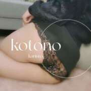 ヒメ日記 2024/12/18 19:05 投稿 ことの かりんと吉祥寺