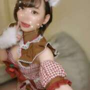 ヒメ日記 2024/12/25 07:00 投稿 ことの かりんと吉祥寺