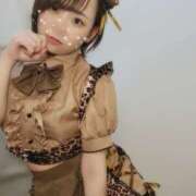 ヒメ日記 2025/01/04 21:02 投稿 ことの かりんと吉祥寺