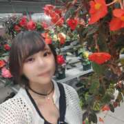 ヒメ日記 2025/05/28 13:12 投稿 ことの かりんと吉祥寺