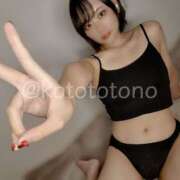 ヒメ日記 2025/09/10 08:45 投稿 ことの かりんと吉祥寺