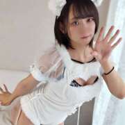 ヒメ日記 2025/12/10 18:42 投稿 ことの かりんと吉祥寺