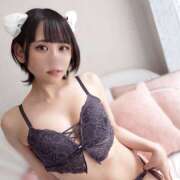 ヒメ日記 2026/02/22 05:50 投稿 ことの かりんと吉祥寺