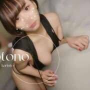 ヒメ日記 2024/12/26 11:33 投稿 ことの 吉祥寺 添い寝女子