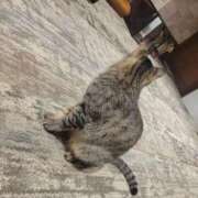 ヒメ日記 2025/03/20 21:37 投稿 ことの 吉祥寺 添い寝女子