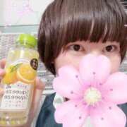 ヒメ日記 2025/03/15 19:04 投稿 かるみ 若葉