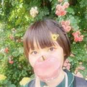 ヒメ日記 2025/06/29 21:15 投稿 かるみ 若葉