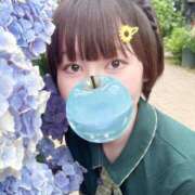 ヒメ日記 2025/07/28 14:15 投稿 かるみ 若葉