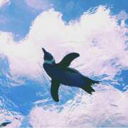 ヒメ日記 2025/07/15 20:30 投稿 ゆか 大宮baton