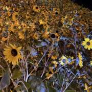 ヒメ日記 2025/09/12 16:30 投稿 ゆか 大宮baton