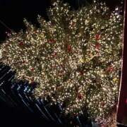 ヒメ日記 2025/12/23 15:30 投稿 ゆか 大宮baton