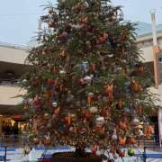 ヒメ日記 2026/01/06 19:30 投稿 ゆか 大宮baton